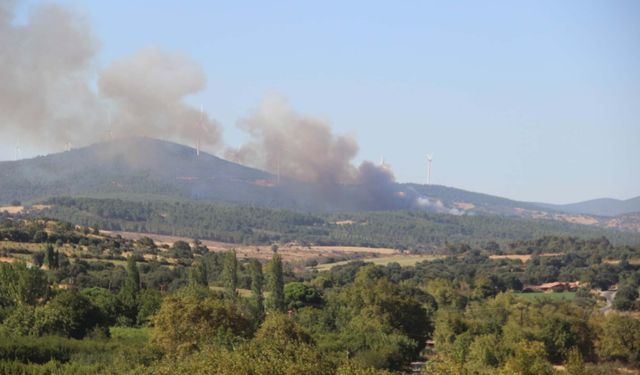 Çanakkale'de orman yangını çıktı