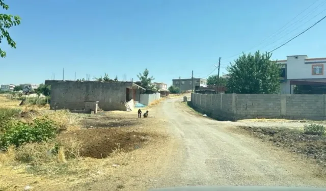 Kedinin ısırdığı 4 yaşındaki çocuk entübe edildi: Kuduz testi pozitif çıktı!