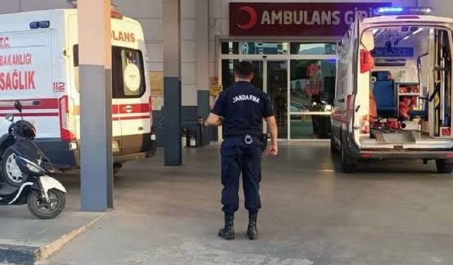 Domuz sandığı babasını av tüfeği ile vurarak öldürdü!
