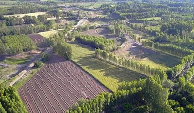 Antalya'daki 10 milyar liralık Hazine arazisi vurgununda 10 tutuklama
