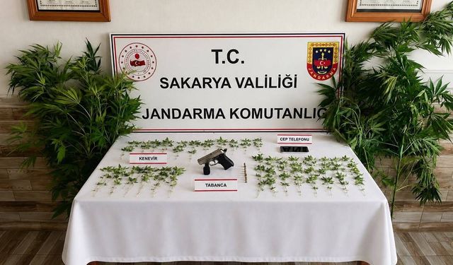 Jandarmanın 2 ayrı uyuşturucu operasyonunda 3 tutuklama