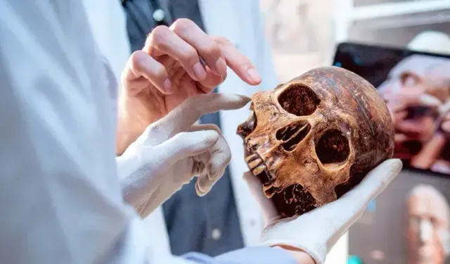 Kafatasının içinde gizlenen yeni bir organ bulundu!