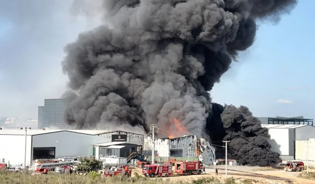 Kocaeli'de 2 depo yangını: 2 işçi yaralandı, 2 at öldü!