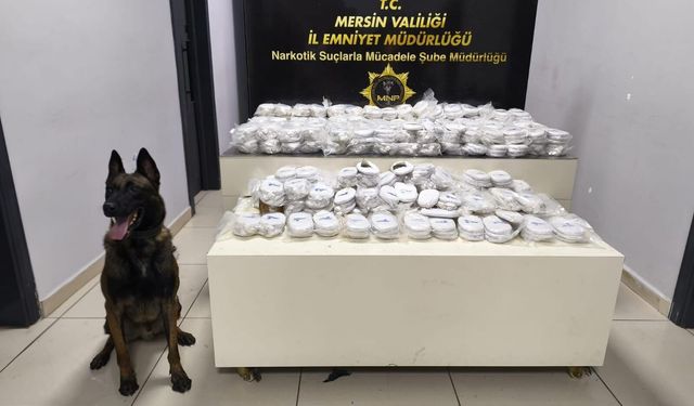 Mersin Limanı’nda 13 milyon liralık kokain operasyonu