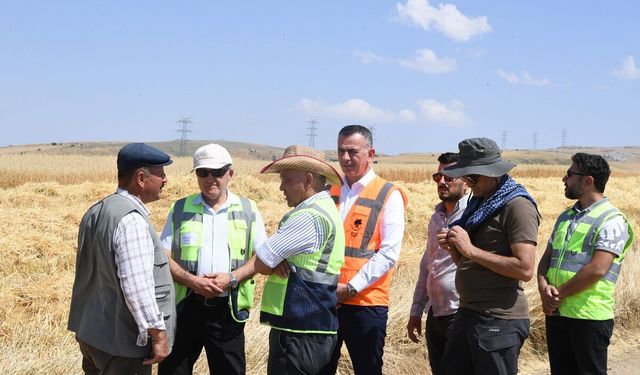 Mamak Belediyesi 120 dönümlük arazide ürettiği yulafı hasat etti
