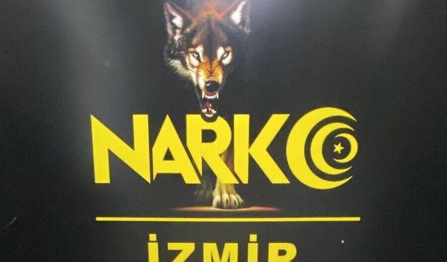 Çantasında 31 bin 320 uyuşturucu hapla yakalandı