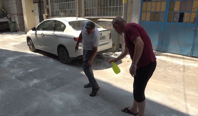 Bursa'da bir sokak pirelerin istilasını uğradı: 'Lavanta yağı sıkmadan duramıyoruz!'