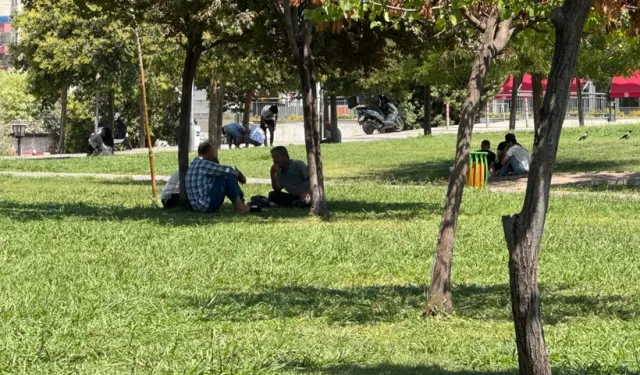 Şanlıurfa yanıyor: 50 dereceye az kaldı