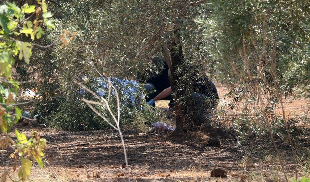 Antalya'da sır ölüm: Zeytinlikte elleri arkadan bağlı ceset bulundu
