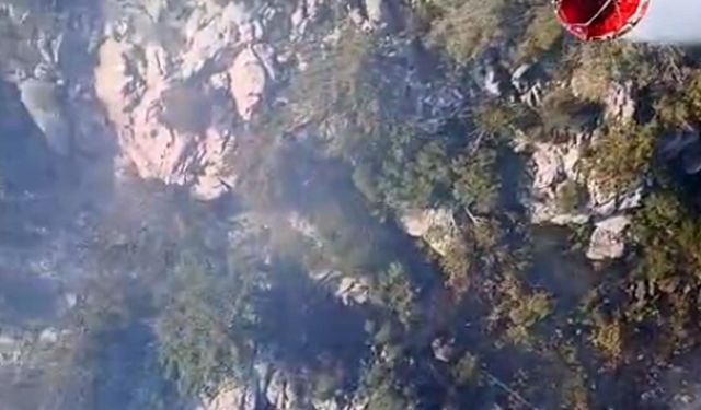 Antalya'da orman yangını!