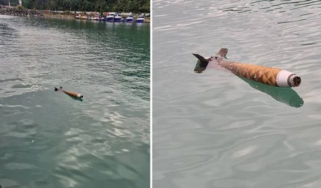 Artvin'de roket paniği: Sahil Güvenlik önlem aldı
