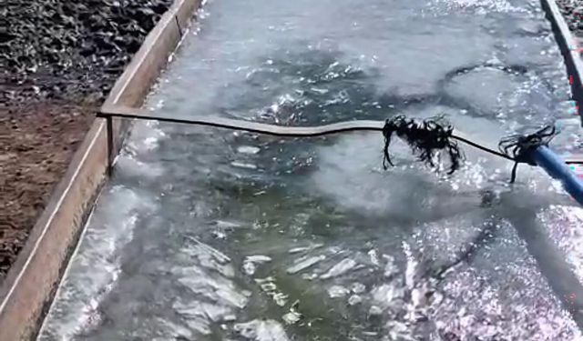 Kars’ta eyül ayında sular buz tuttu