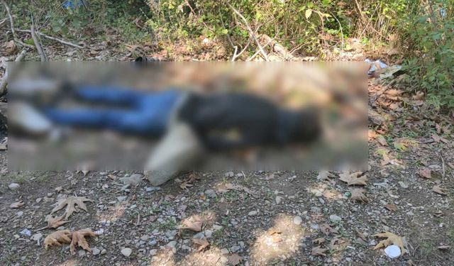 Kastamonu'da dere kenarında erkek cesedi bulundu: 1 gözaltı