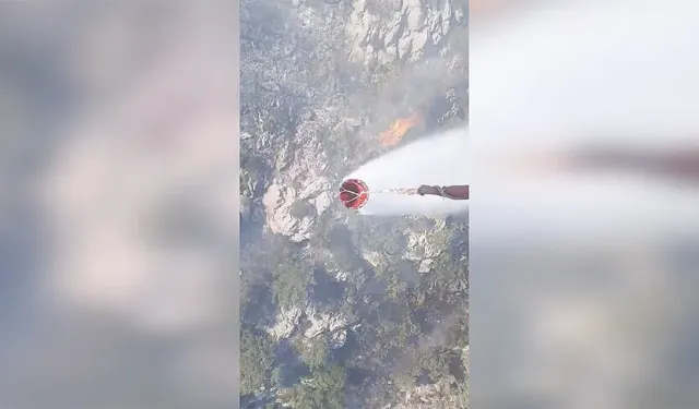 Antalya'da ormanlık alanda çıkan yangına müdahale ediliyor