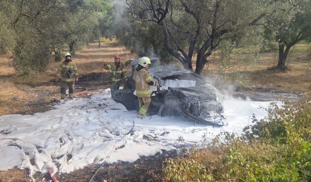 Zeytin ağacına çarpan otomobil alev aldı: 1 ölü, 1’i çocuk 5 yaralı