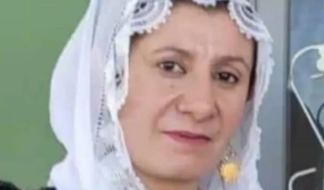 4 çocuk annesi kadın, halı yıkarken akıma kapılıp öldü