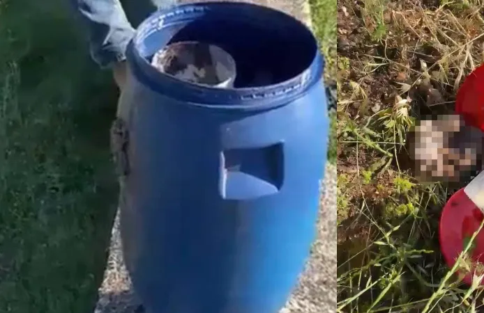 Şanlıurfa'da mezarlıkta bulunan plastik varilde 21 insan cenini bulundu!