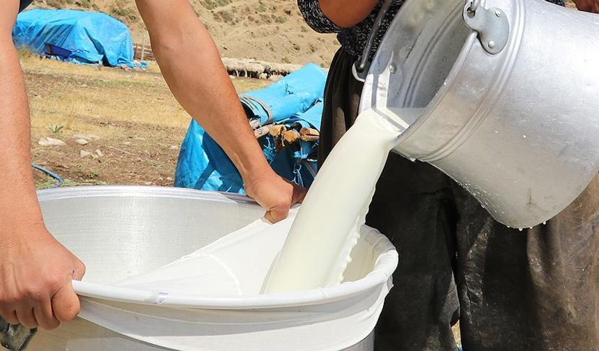 Türkiye'de 2023'te süt üretimi arttı