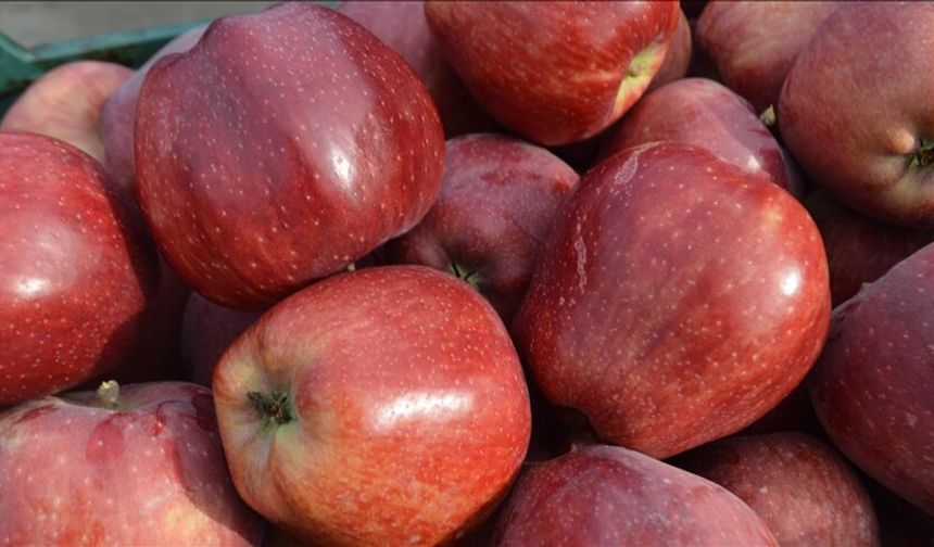 Tarladan markete fahiş fiyat! Elmada fiyat uçurumu yüzde 388!
