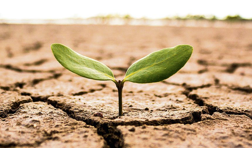 İklim değişikliği her 3 kişiden 1'ini etkiliyor