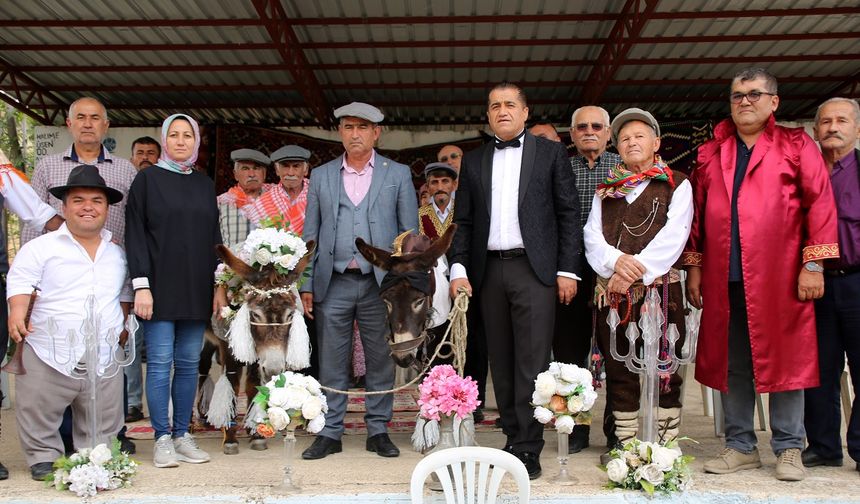 Antalya’da eşeklere sembolik nikah kıyıldı