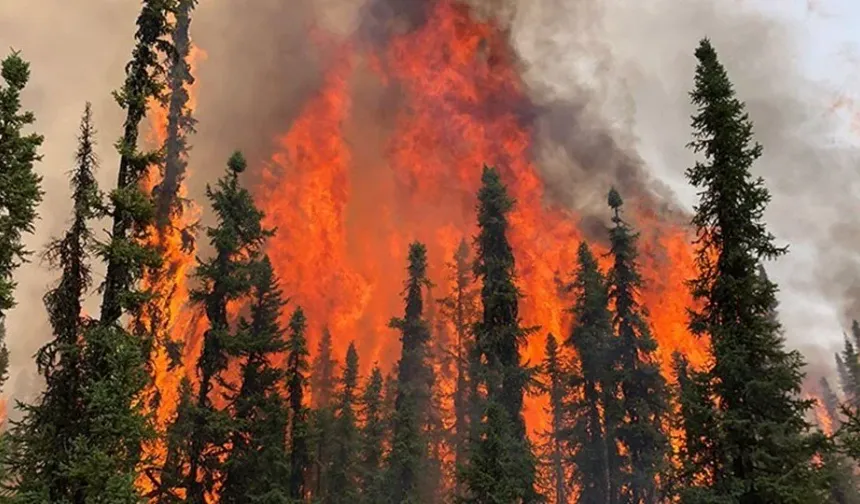 'Orman Yangınları Meteorolojik Erken Uyarı Sistemi' geliştirildi