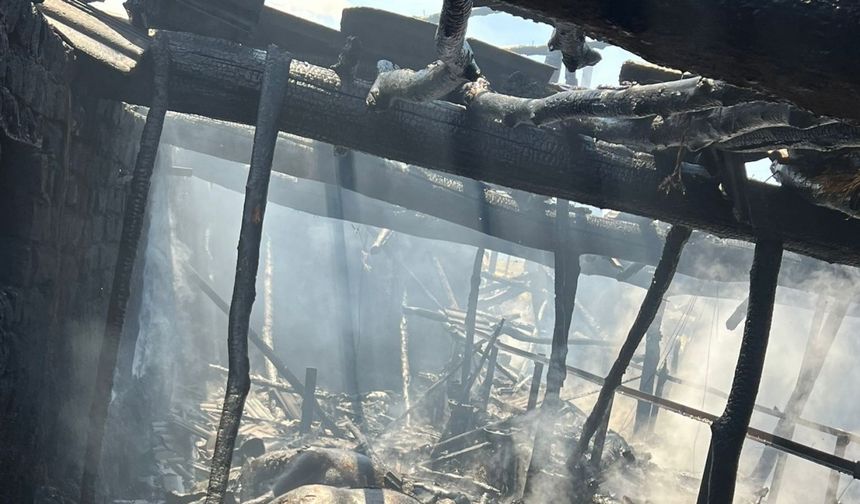 Ankara'da ahır yangını; 12 büyükbaş öldü