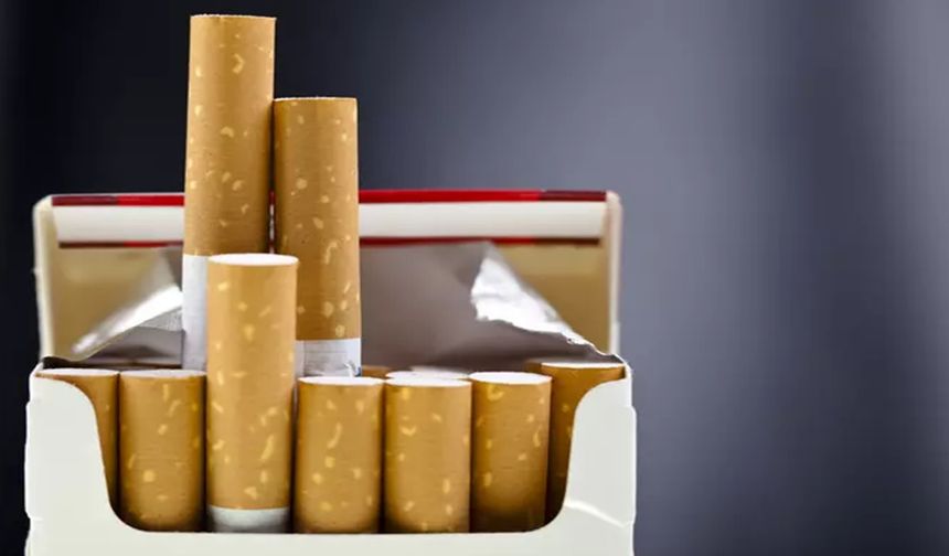 Sağlık Politikaları Kurulu, ‘sigarının paketi en az 300 TL olmalı' dedi