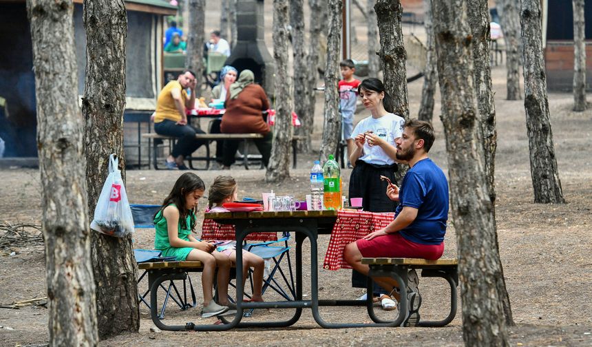 Çevrenin korunmasında belediyelerin rolü ve etkisi