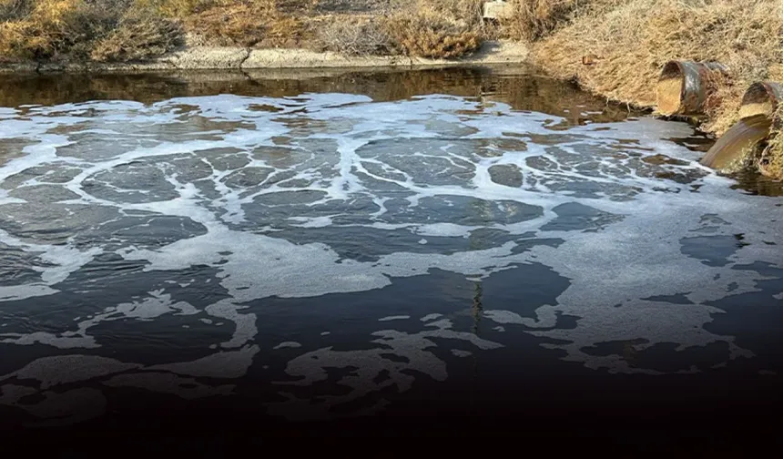 Gediz Nehri’ne kimyasal akıyor