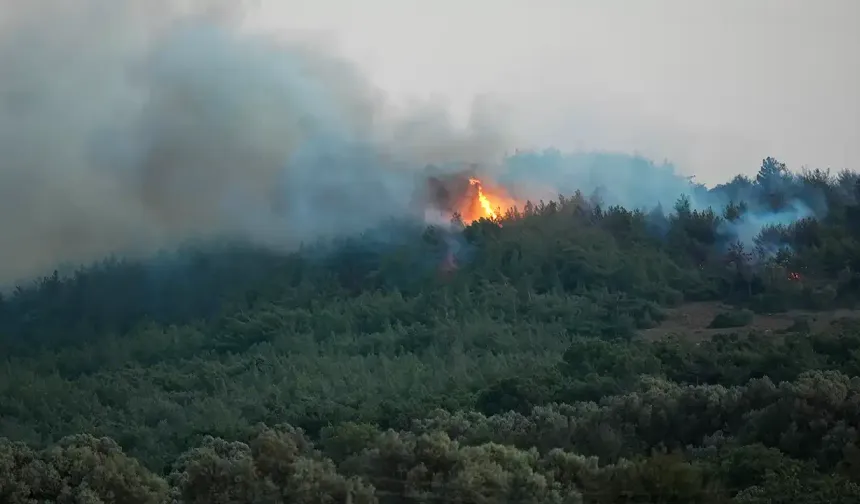 Urla’da makilik alanda yangın
