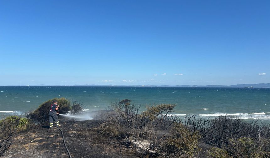 Çanakkale’de yangın: 250 dönüm kül oldu