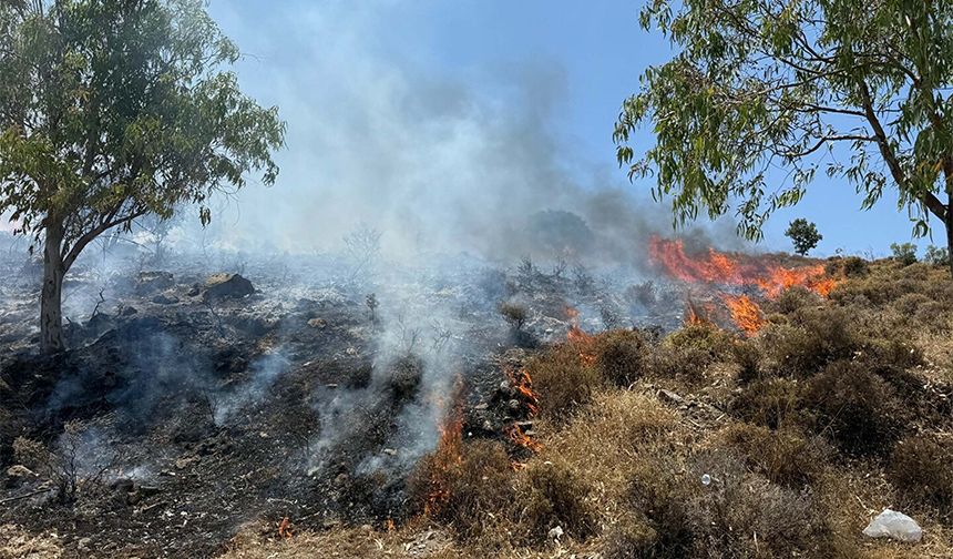Muğla'da maki yangını