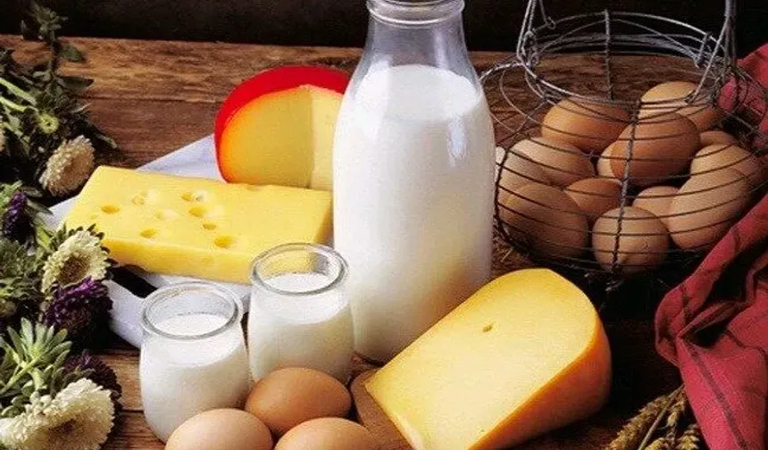 TÜİK açıkladı: Tavuk eti üretimi arttı, yumurta ve süt üretimi azaldı
