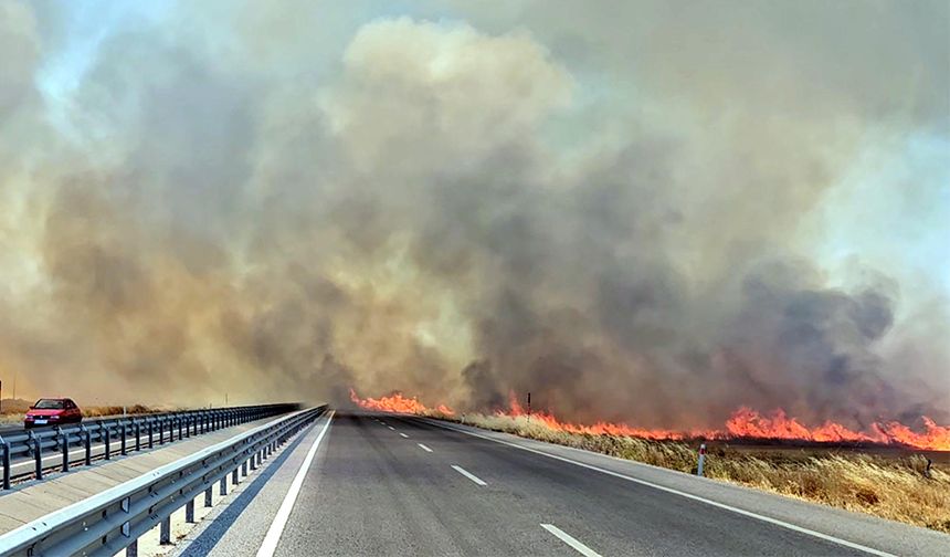 Edirne'de tarla yangını; kara yolu ulaşıma kapatıldı