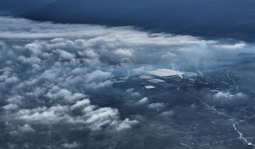 Düzce ve Bolu'da sis etkili oldu
