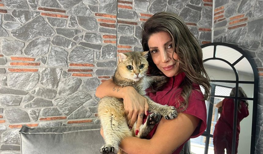 Obsesif kompülsif bozukluğu olan takıntılı kedi için antidepresanlı tedavi