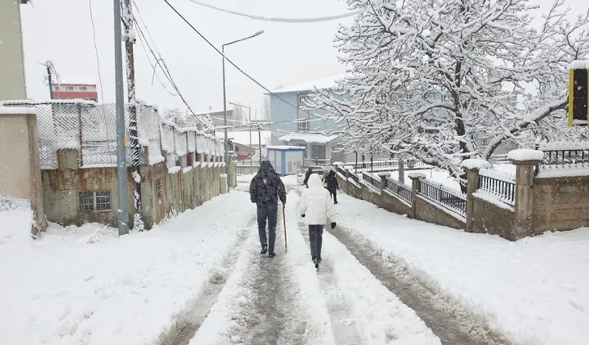 Van'da kar yağışı nedeniyle 90 yerleşim yeri ulaşıma kapandı