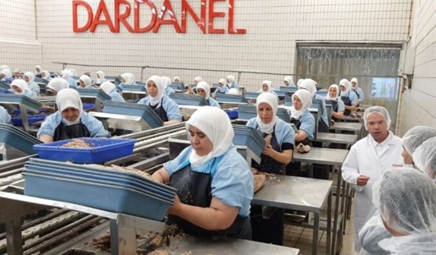 Dardanel'de 100'ün üzerinde işçinin işine son verildi