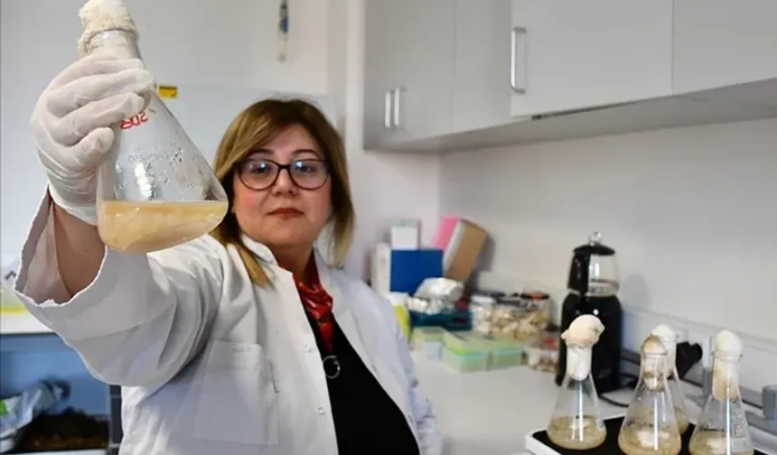 Akademisyenlerden gıdada devrim niteliğinde buluş