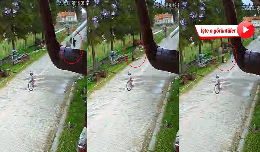 Evinin önünde oynayan çocuğa eşek saldırdı