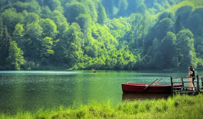 Milli parklar şirketlere açılıyor: Plan şartı kaldırılıyor, turizm ve altyapıya izin