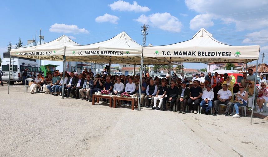 Kutludüğün Şakayık Festivali’nde doğa ve kültür buluştu
