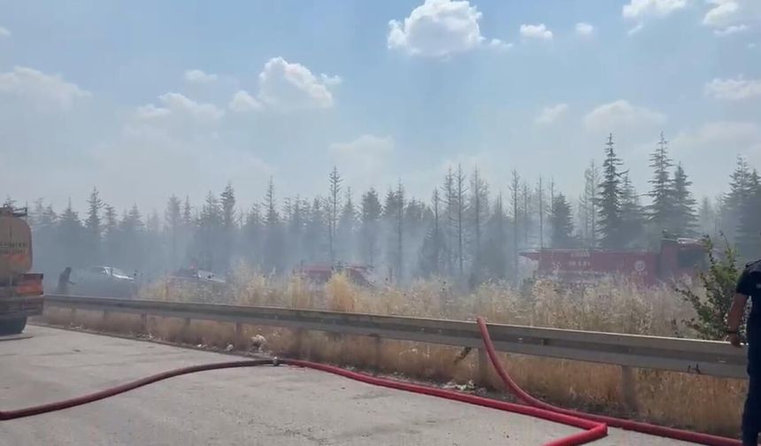 Ankara'da otluk alanda yangın: 1 kişi gözaltı alındı