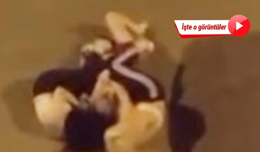 Iğdır’da kadınların saç saça kavgası kamerada!