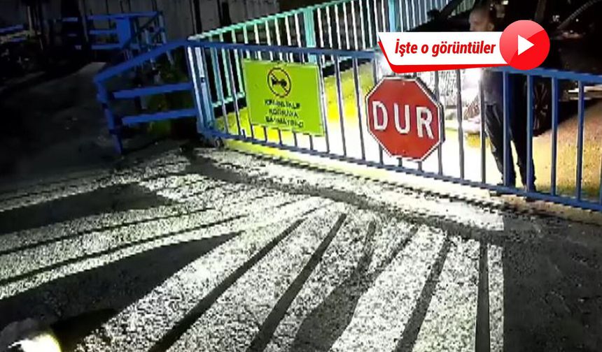 Ciple köpeğin üzerinden geçti! O anlar anlar kamerada