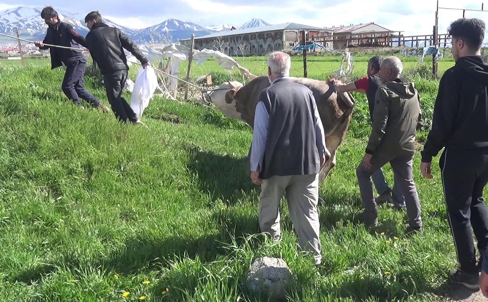 Kurban kesimi sırasında kalp krizi geçiren kişi hayatını kaybetti!
