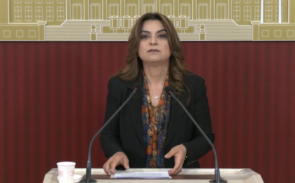 DEM Partili Koçyiğit: Çerçeve yasanın bir an önce TBMM'ye gelmesi gerekiyor