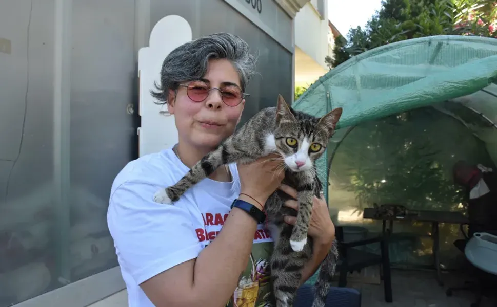 6 milyonda 1 görülen vaka: 'Erkek kedi doğum yaptı'