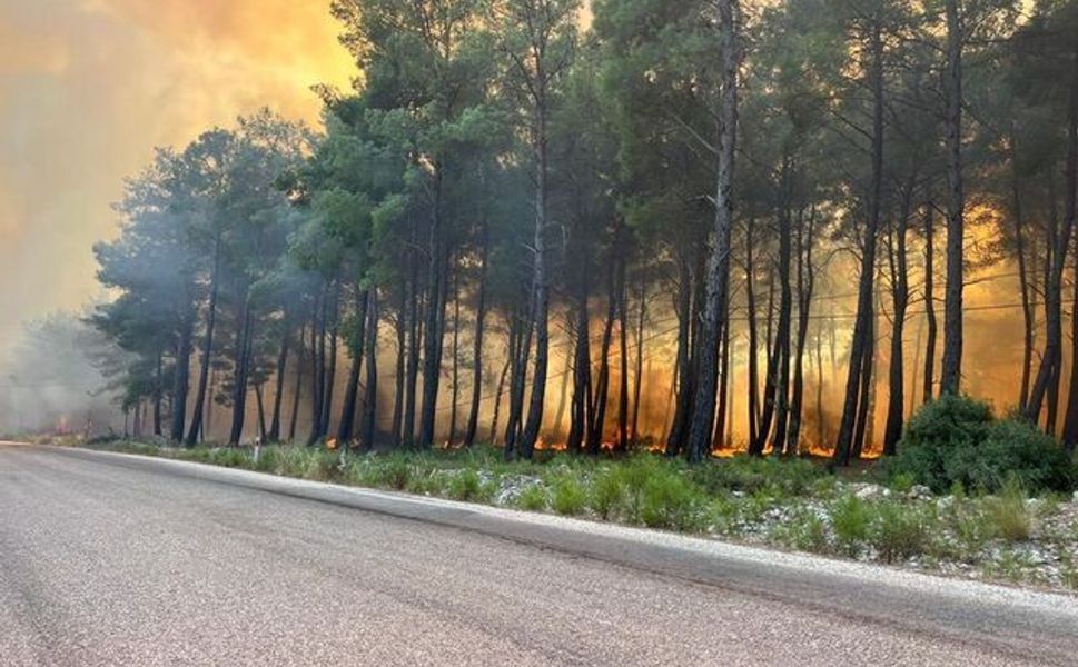 Muğla'daki orman yangını Antalya'ya sıçradı: Saklıkent kanyonu ziyaretçilere kapandı